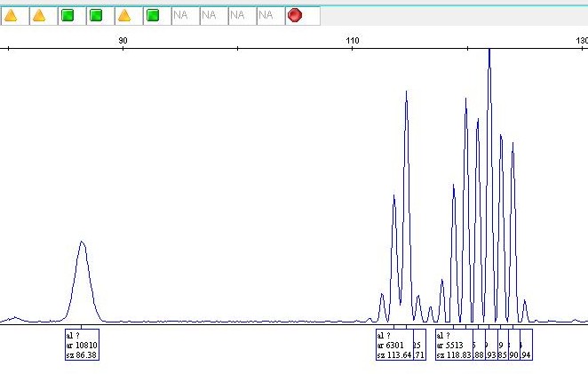 Medica Fragmentanalyse